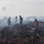 Kabupaten Solok dan Lima Puluh Kota Darurat Karhutla, BPBD Sumbar Semai 3 Ton Garam Sehari untuk Picu Hujan