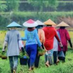 Pertanian Indonesia di Persimpangan Zaman: Antara Krisis Regenerasi dan Peluang Agritech