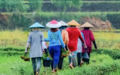 Pertanian Indonesia di Persimpangan Zaman: Antara Krisis Regenerasi dan Peluang Agritech