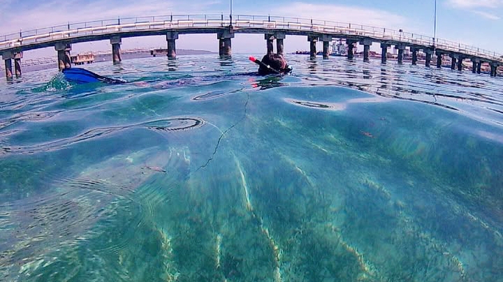 Kupang Beyond Transit: Menyelami Surga Bawah Laut yang Terlupakan
