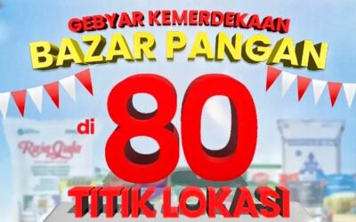 Bazar Pangan ID FOOD: Sembako Murah Hadir di 80 Lokasi untuk HUT RI ke-80