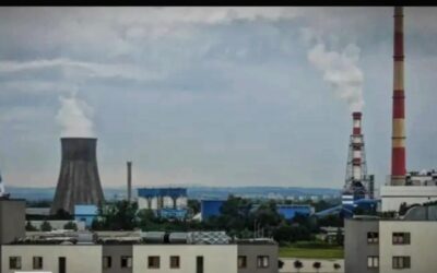 Pasar Karbon Global Menunjukkan Tanda Pemulihan, JP Morgan Masuk sebagai Pemain Kunci