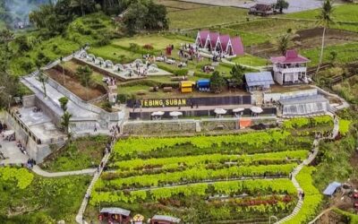Curup Menuju Status Kota Otonom: Potensi dan Tantangan Pemekaran di Bengkulu