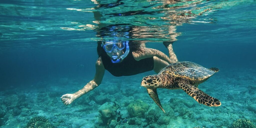 Liburan Seru ke Maladewa: 7 Aktivitas Tak Terlupakan untuk Keluarga