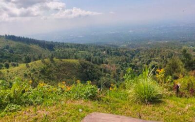 10 Destinasi Wisata Wonogiri yang Wajib Dikunjungi: Dari Sensasi Bali hingga Petualangan Alam