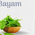 Bayam: Superfood Hijau untuk Vitalitas Pria Modern