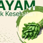 Bayam: Superfood untuk Tumbuh Kembang Anak yang Wajib Diketahui Orang Tua
