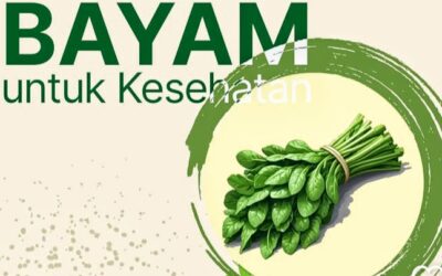 Bayam: Superfood untuk Tumbuh Kembang Anak yang Wajib Diketahui Orang Tua