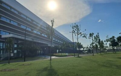 Peluang Karir di PT BMT Oppo Manufacturing Indonesia: Rekrutmen September 2025