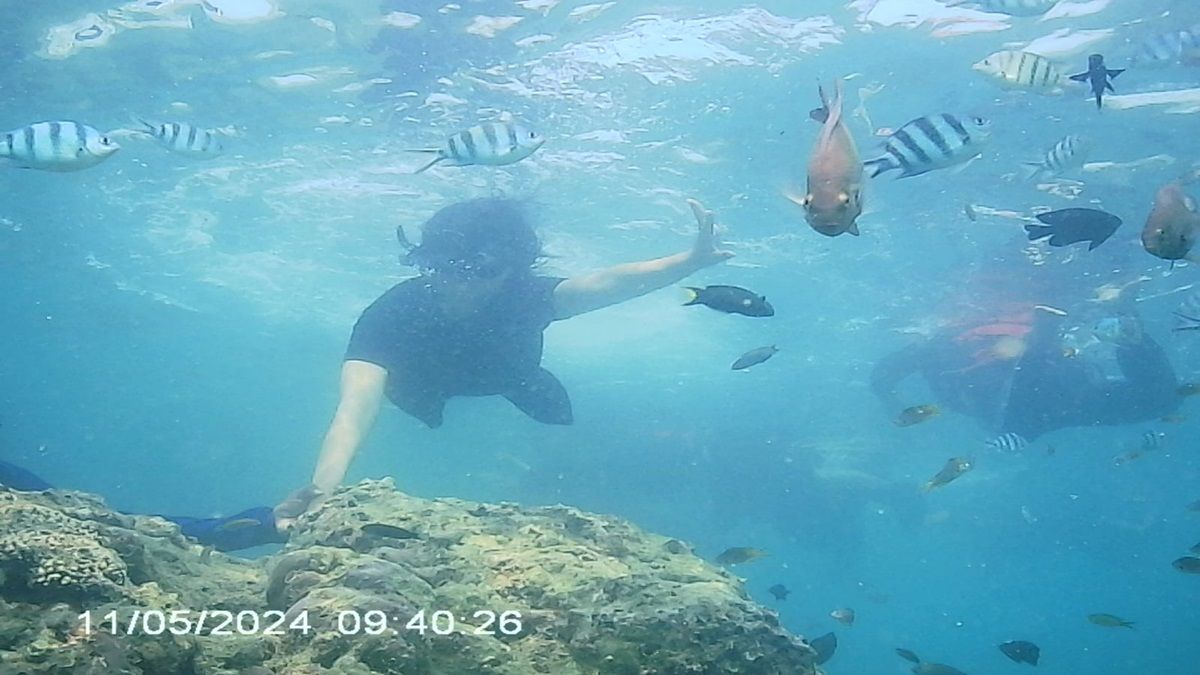 Pulau Pari: Pantai, Snorkeling, Sunset, dan Tips Liburan Lengkap