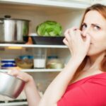 Jangan Tunda, Kenali 10 Tanda Kulkas Perlu Dibersihkan