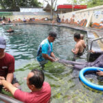 Jelajah Lebaran 2026: Wisata Terapi Umbul Brintik Klaten yang Ramai Dikunjungi